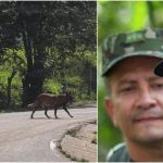 ¿Quién está detrás del falso cilindro bomba pintado con la bandera de Colombia que generó pánico en vía del Tolima?