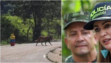 ¿Quién está detrás del falso cilindro bomba pintado con la bandera de Colombia que generó pánico en vía del Tolima?