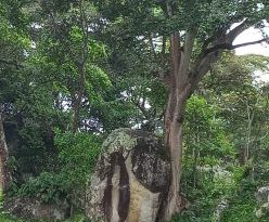 Abriendo un broche, se le apareció la virgen en zona montañosa de Yopal