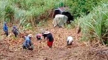 Trabajadores sacan la caña de la volqueta derrumbada en El Vergel, Sandoná