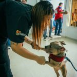 Alcalde abre nueva sede del Hospital Público Veterinario en Villasantana