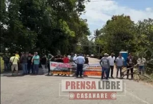 Arroceros de Casanare se unirían a gran protesta nacional ante desplome de los precios del grano