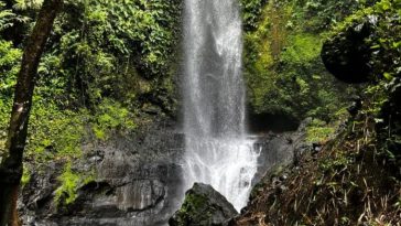 Cascada de Los Mycos: Cómo llegar a este paraíso de 40 metros en el Valle del Cauca