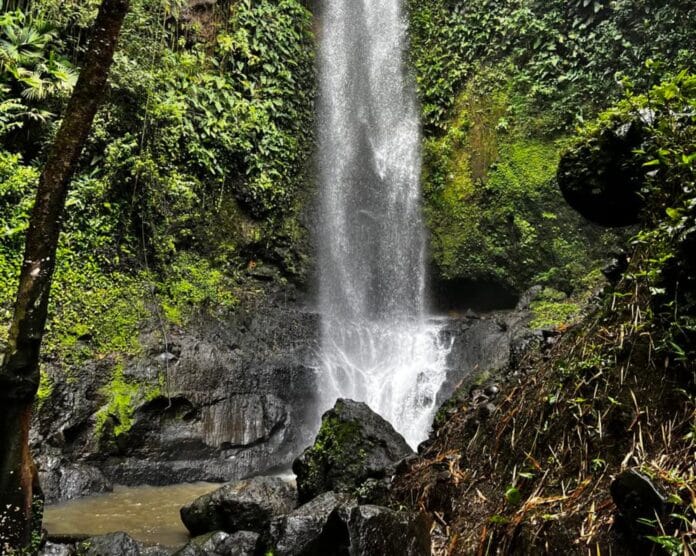 Cascada de Los Mycos: Cómo llegar a este paraíso de 40 metros en el Valle del Cauca