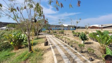 Ecoparque La Paz : un sueño ecológico que se hace realidad en el sur de Barranquilla