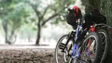 Ecotourismo en bicicleta: pistas para viajar a Cali y conectarse con la naturaleza