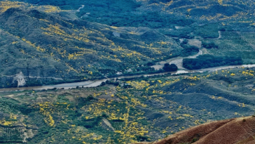 El Rosario, el mirador turístico del Patía en Nariño, ideal para el ecoturismo y el avistamiento de aves