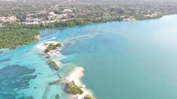 Emergencia ambiental en Barú: aguas contaminadas, manglares en peligro y playas en riesgo