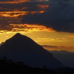 En Cerro Tusa, la pirámide natural de Antioquia, descubren una planta única en el mundo