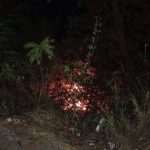 En La Felisa se registró un conato de incendio forestal