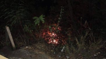 En La Felisa se registró un conato de incendio forestal