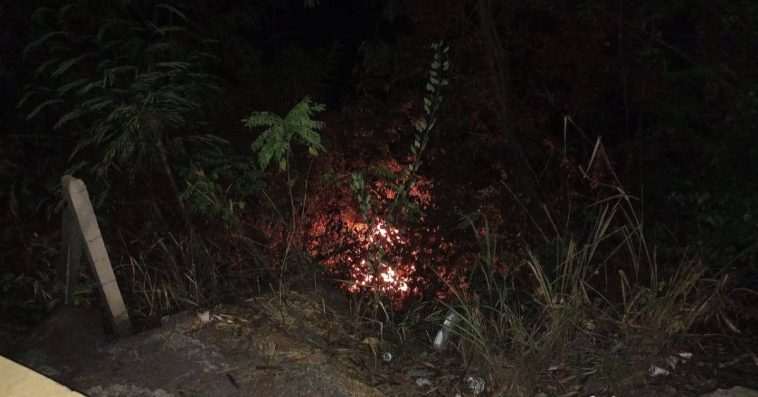 En La Felisa se registró un conato de incendio forestal