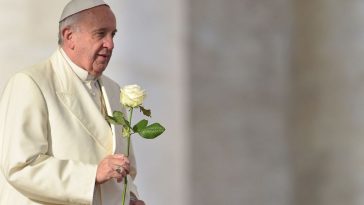 Estado de salud del Papa Francisco: padece insuficiencia renal El Papa Francisco se sometió la mañana de este domingo a nuevas pruebas clínicas, cuyos resultados se publicarán esta tarde. Además, se le han aplicado cánulas nasales para administrarle oxígeno de alto flujo, según informan fuentes del Vaticano.