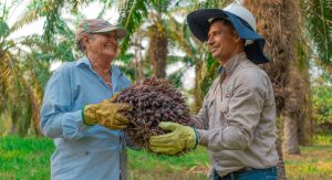 Fedepalma anuncia el inicio de convocatorias para concursos de Fotografía Ambiental – Social, Mujer Palmera y Sostenibilidad