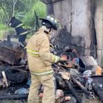 Incendio en cambuche dejó a dos perritos sin vida: habrían estado amarrados y no pudieron escapar