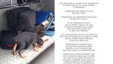 Indignación, cachorros doberman transportados en bodega de bus en la ruta Bogotá-Pasto: ¿Quién responde?