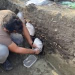 Investigadores de Unimagdalena hallaron evidencias  de los primeros pescadores de la Ciénaga Grande