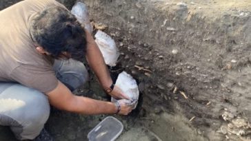 Investigadores de Unimagdalena hallaron evidencias  de los primeros pescadores de la Ciénaga Grande