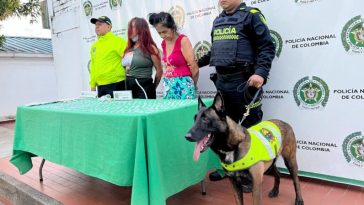 Judicializadas dos mujeres en Neiva por presunto tráfico de estupefacientes