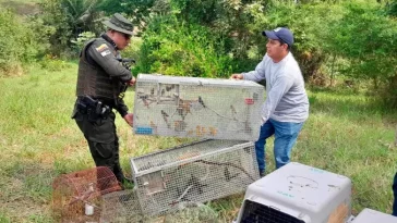 Liberación de 36 aves silvestres y dos mamíferos en la reserva natural Terraguarda