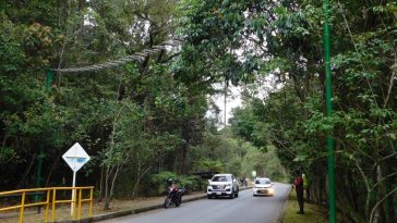 Medellín tiene nuevos pasos de fauna para reducir los accidentes de animales silvestres en las vías