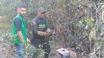 Policía de Neiva adelantó liberación de fauna silvestre en su hábitat natural