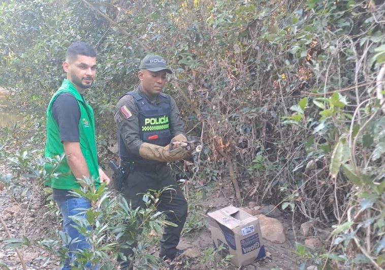 Policía de Neiva adelantó liberación de fauna silvestre en su hábitat natural