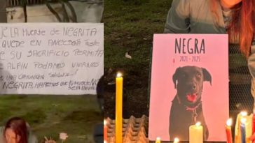 "Por siempre, Negrita": el mensaje de despedida para 'Negrita', la perrita que murió al impedir la fuga de ladrones en Bogotá