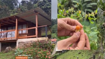 Reserva natural y bosque comestible; Un lugar mágico cerca de Cali Farallones