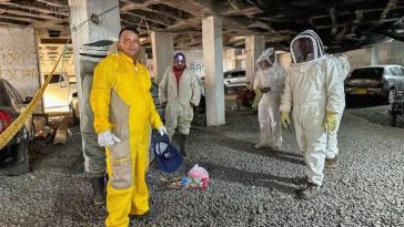 Toman medidas para controlar enjambre de abejas que ocasionó caos y muerte en El Banco 