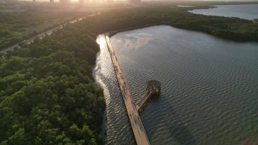 Tribunal admite acción popular de la Procuraduría para frenar el deterioro ambiental en la Ciénaga de Mallorquín