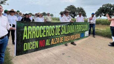 'Lo único que sabemos es cultivar arroz': hablan líderes de paro arrocero en Colombia; esto responde Minagricultura