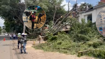 Caídas de árboles, cierre temporal del MIO Cable por tormenta eléctrica y emergencias en Cali por fuertes lluvias