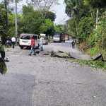 Un ganadero y un supuesto miembro del Clan del Golfo murieron tras enfrentamientos en Valdivia